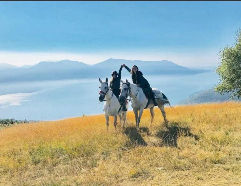 Casa Cicala Villa Trarego Dış mekan fotoğraf